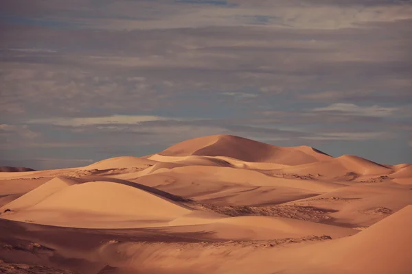 Deserto — Fotografia de Stock