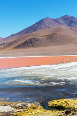 Laguna Colorada