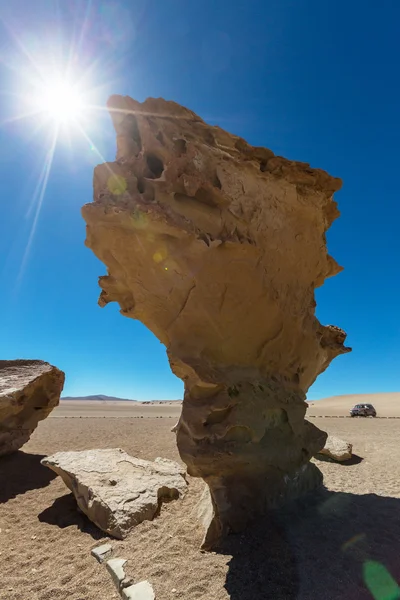 Arbol de Piedra — Stock Photo, Image