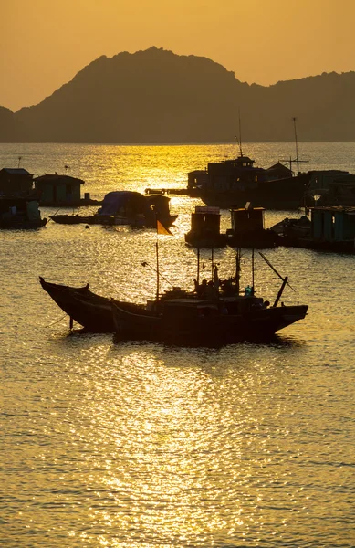 Halong — Stockfoto