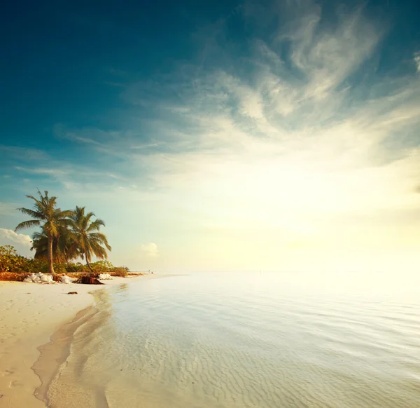 Pantai tropis — Stok Foto