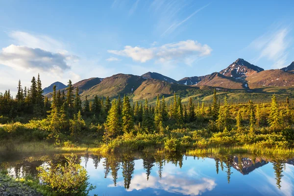 Lago no Alasca — Fotografia de Stock