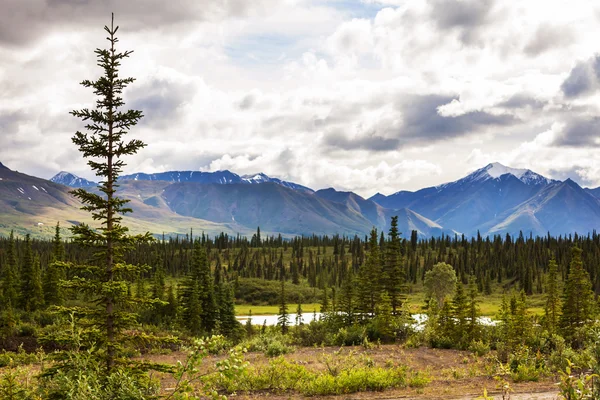 Lago en Alaska — Foto de Stock