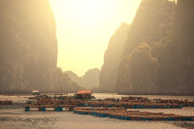 Halong