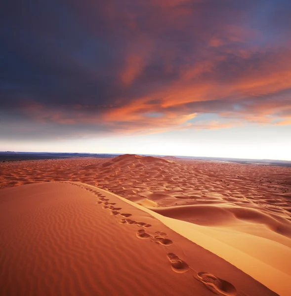 Desert — Stock Photo, Image