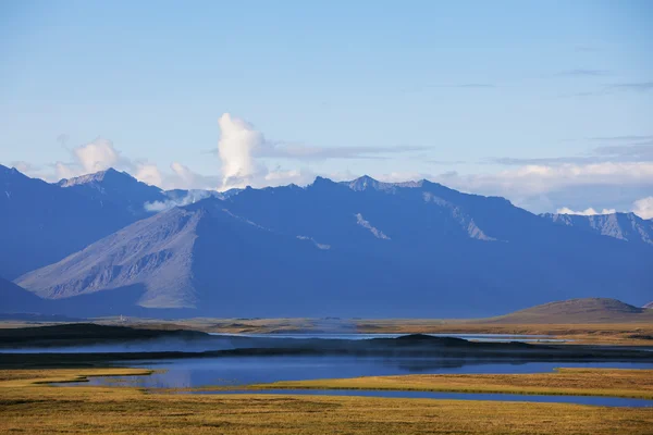 알래스카에는 툰드라 — 스톡 사진