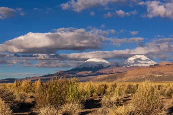 Berge in Bolivien — Stockfoto