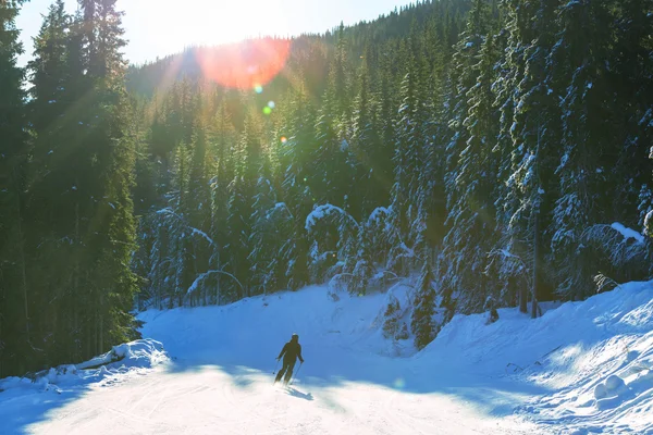 Skigebied — Stockfoto