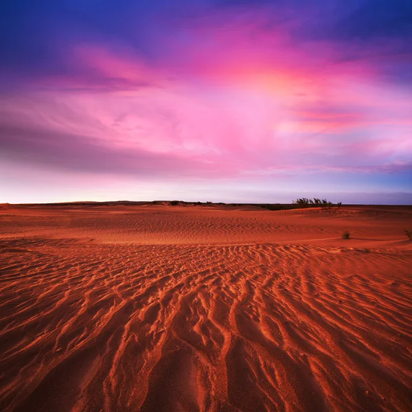 Desert — Stock Photo, Image