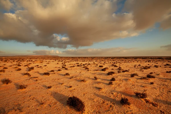 Pustyni Sahary Zachodniej — Zdjęcie stockowe