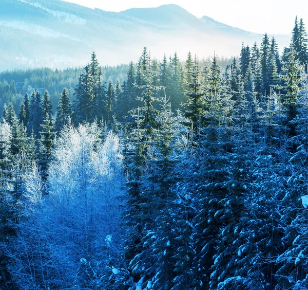 Montañas de invierno — Foto de Stock