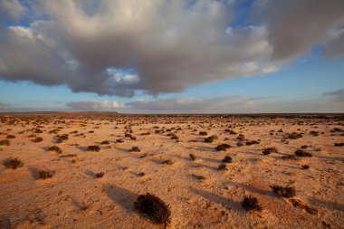 Desert in Western Sahara clipart