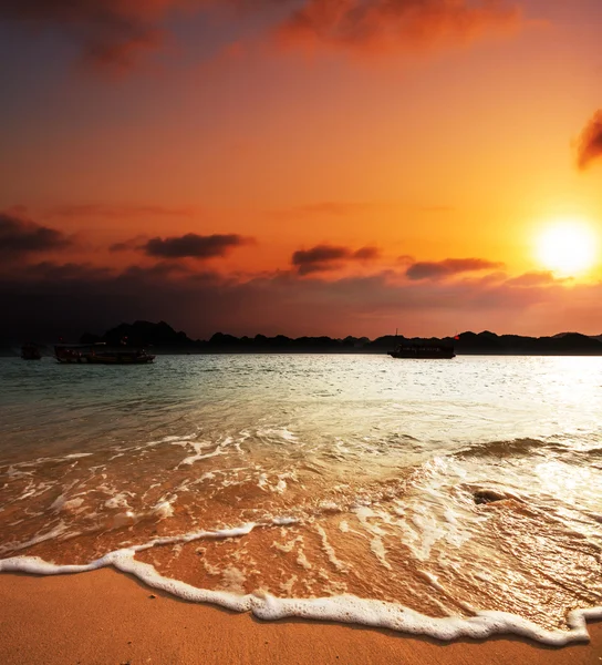 Sea sunset — Stock Photo, Image