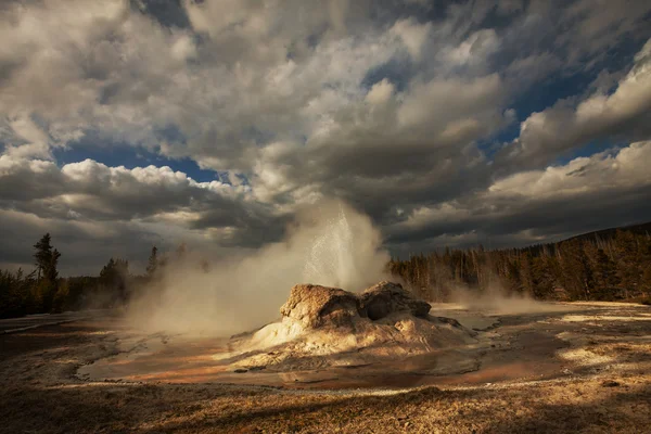 Géiser en Yellowstone — Foto de Stock