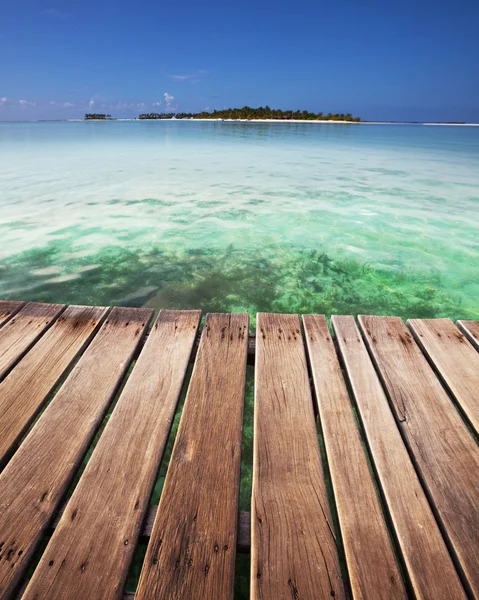 Maldive — Foto Stock