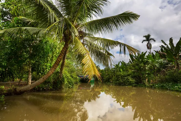 Sungai tropis — Stok Foto