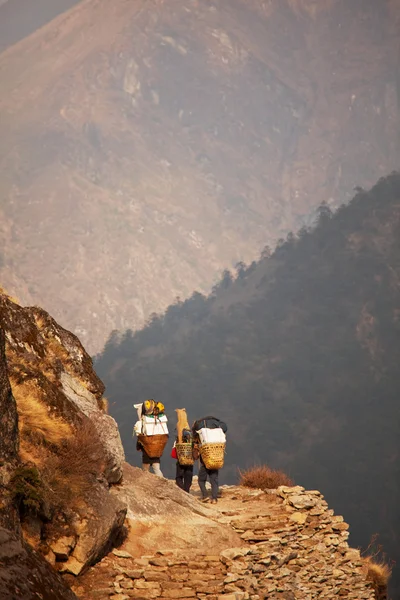 Trekking in Nepal — Stock Image Trekking in Nepal Royalty Free Stock Images