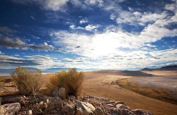 Prairie — Stock Photo, Image