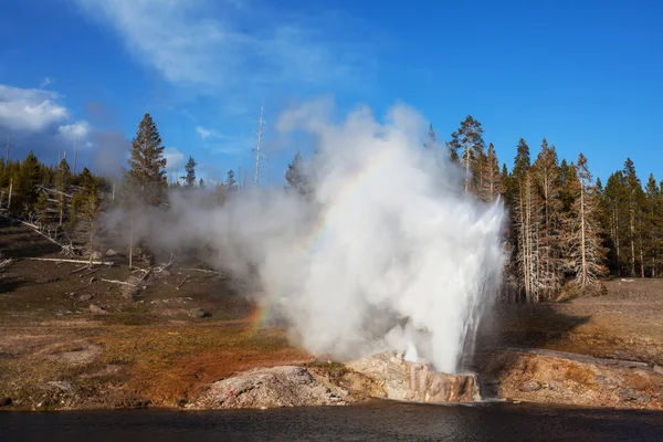 Гейзер в yellowstone — стокове фото