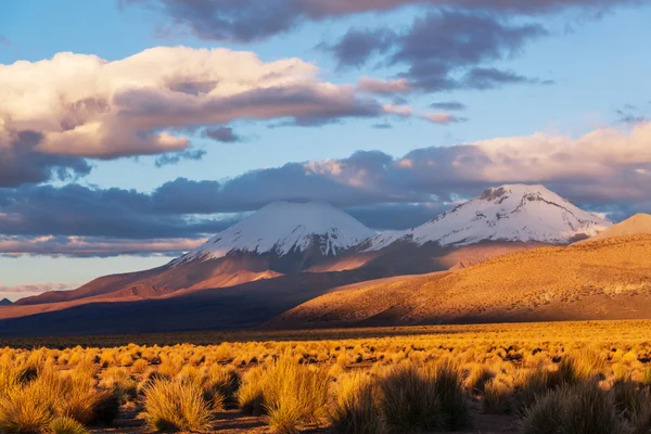 Montagnes en la Bolivie — Photo