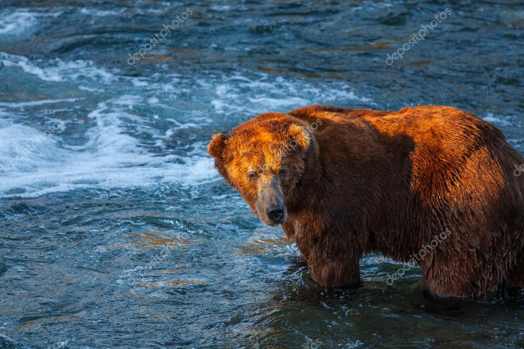 kamchatka