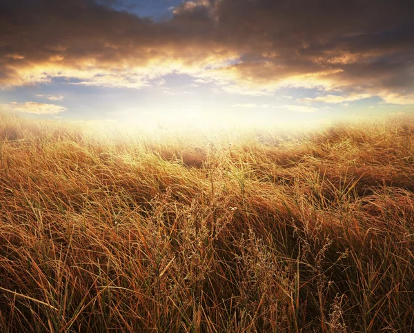 Herbst — Stockfoto