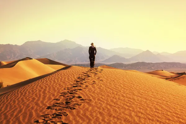 Caminhada no deserto — Fotografia de Stock