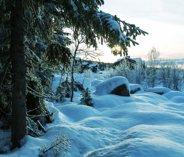 Winter season — Stock Photo, Image