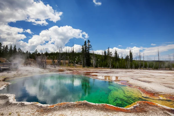 Yellowstone. — Fotografia de Stock