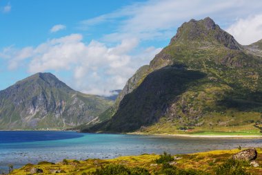 lofoten sahilde