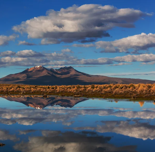 Montagnes en la Bolivie — Photo