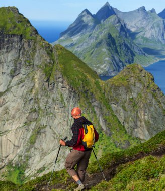 Lofoten zammı