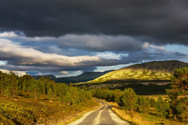 Camino en Noruega — Foto de Stock