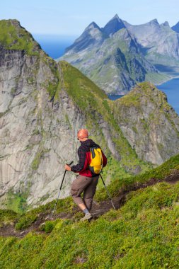 Lofoten zammı