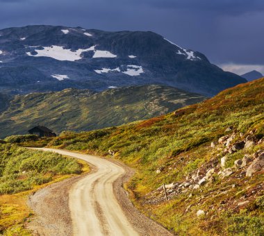 Norveç'te yol