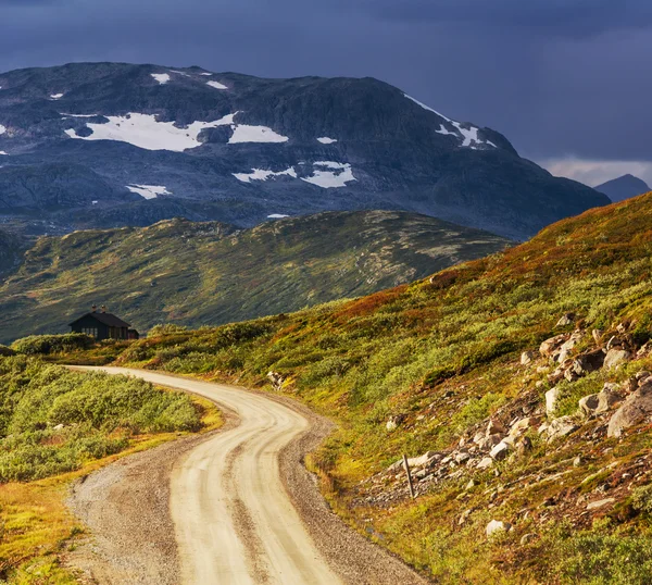 Strada in Norvegia — Foto Stock