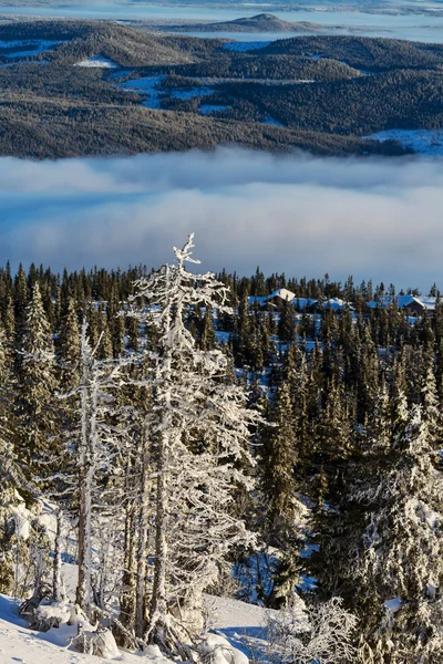 Inverno in Norvegia — Foto Stock