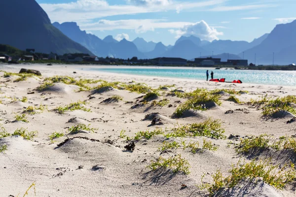 Beach on Lofoten — Stock Photo, Image