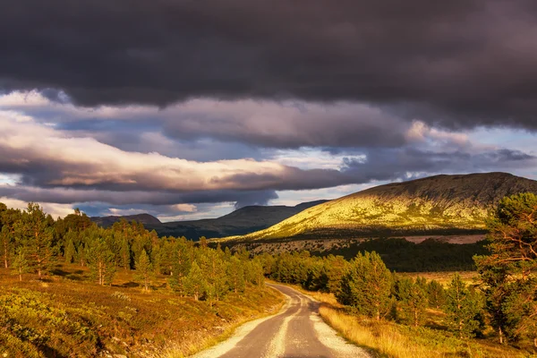 Norveç'te yol — Stok fotoğraf