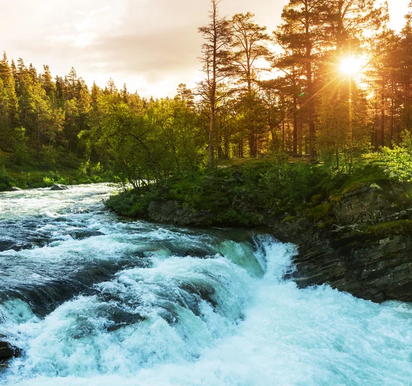 Řeka v Norsku — Stock fotografie