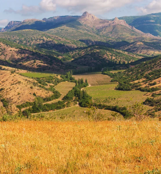 Los campos en la Crimea —  Fotos de Stock