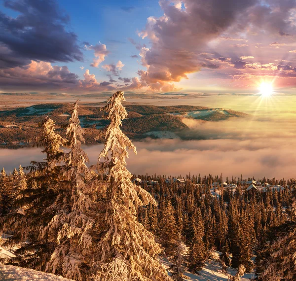 Winter in Norway — Stock Photo, Image