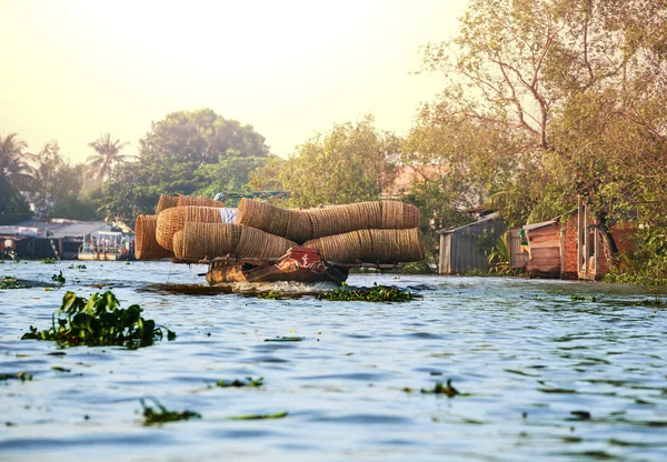 Delta do Mekong — Fotografia de Stock