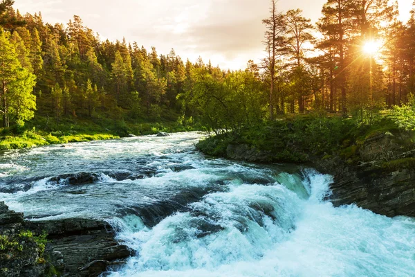 Fluss in Norwegen — Stockfoto