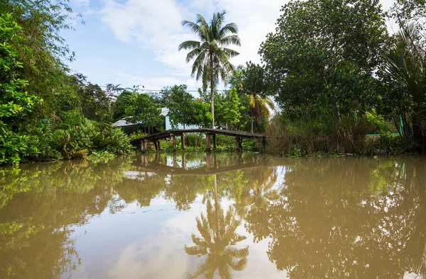 Mekong Delta — Stock Photo, Image