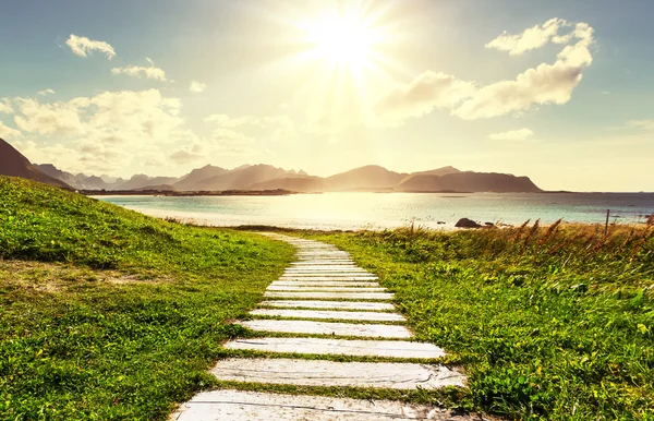 Plage sur Lofoten — Photo