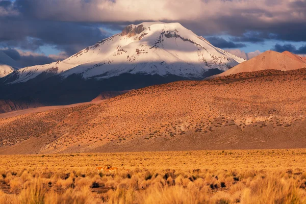 Montañas en Bolivia — Foto de Stock