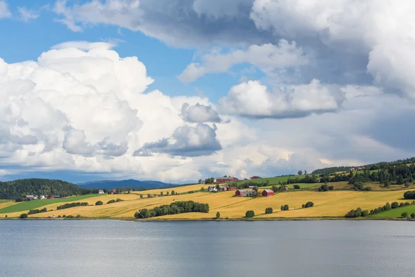 Mezők — Stock Fotó