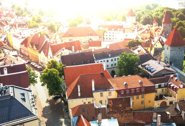 TALLINN Ordförande — Stockfoto