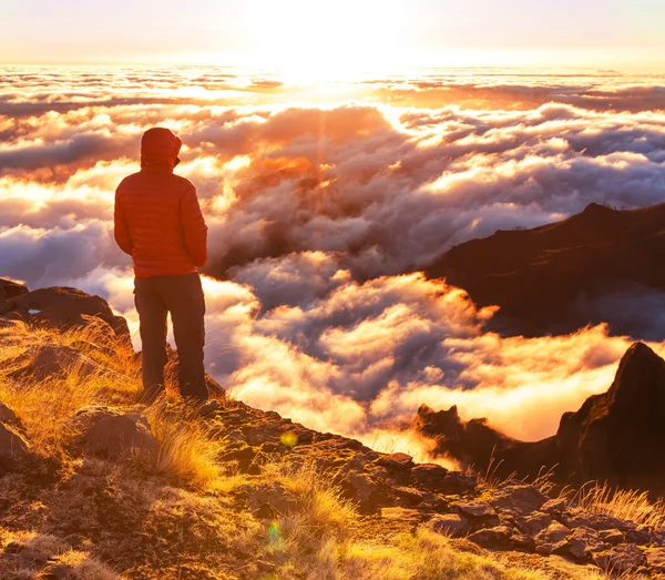 Man on the cliff — Stock Photo, Image